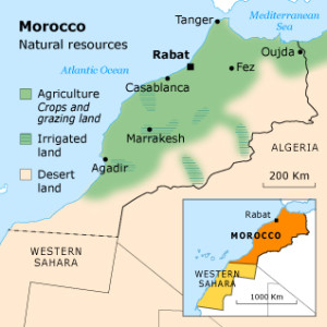 morocco_agriculture